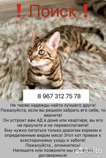 Бенгальская