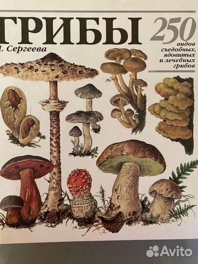 Грибы. 250 видов грибов
