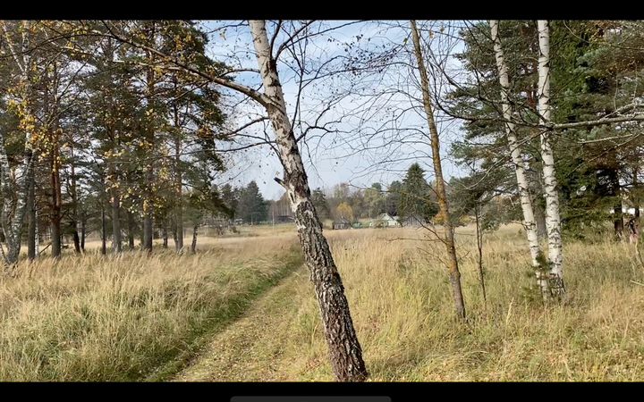 Участок 1,2 га (СНТ, ДНП)