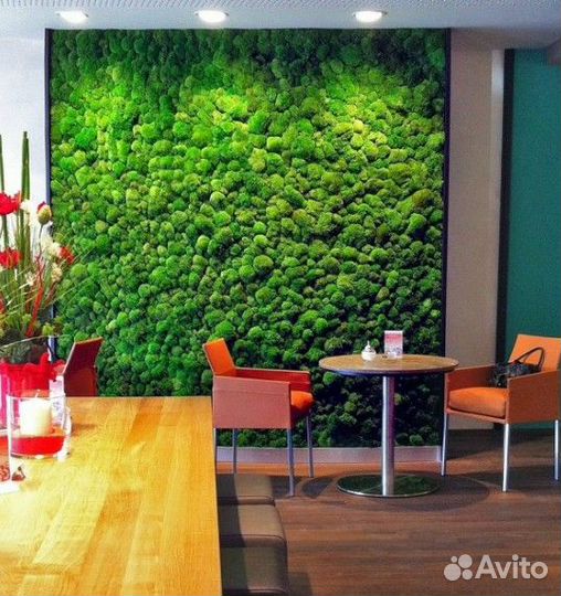 Искусственное озеленение. Фитостена