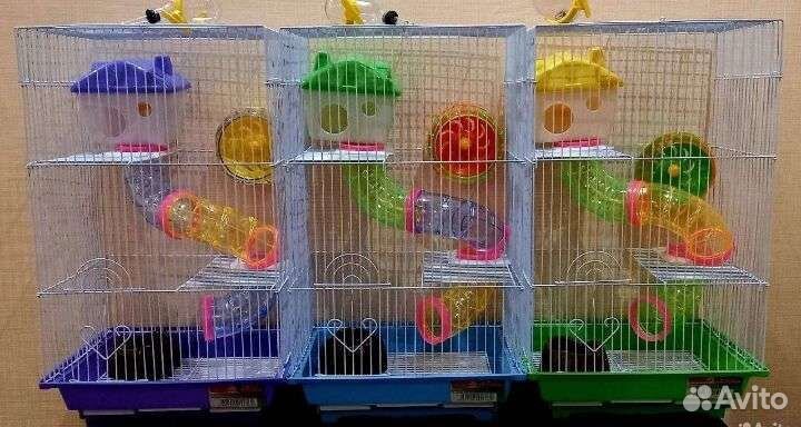 Хомячки персиковые+Клетки