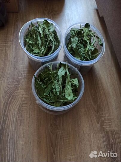 Ветки березы,листья одуванчика,кипрея, перегородки