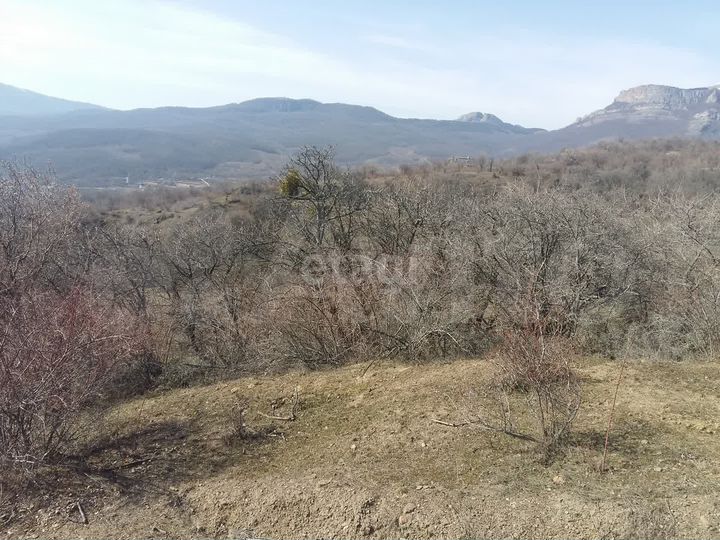 Участок 2,4 га (ИЖС)