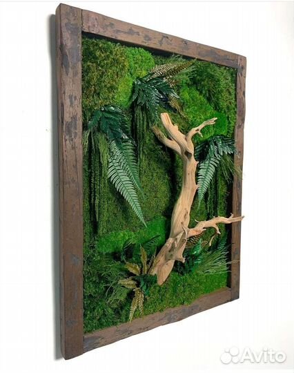 Фитокартина фитостена панно из мха мох ягель