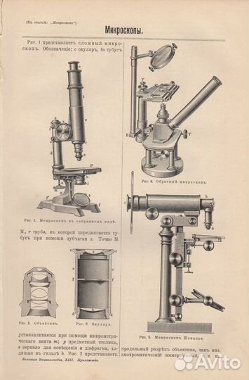 Гравюры. Литографии. 19 век. Германия. Микроскоп