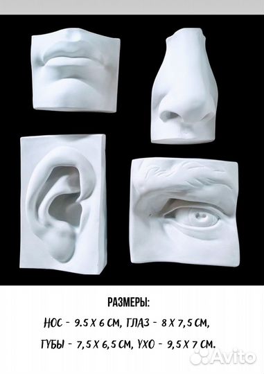 Гипсовые фигуры для рисования 4 штуки Нос Давида