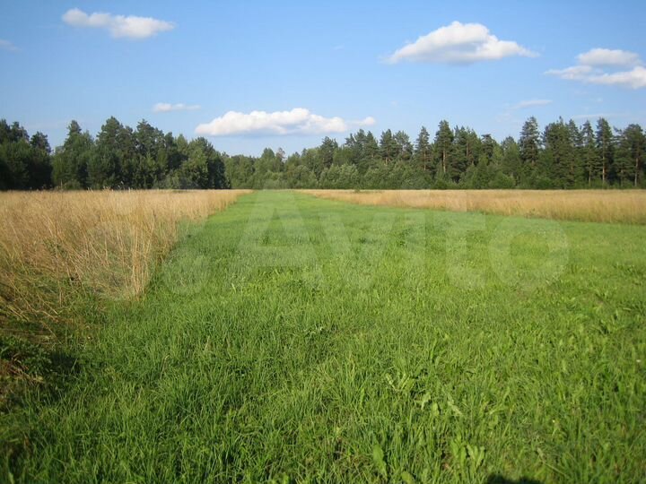Участок 2 га (СНТ, ДНП)