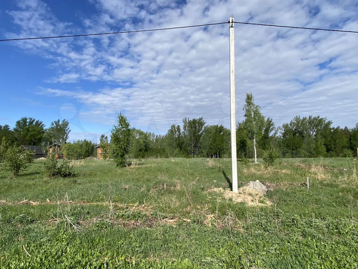 горельский лесхоз - Недвижимость в Тамбовской области 🏡: квартиры, дома,  коммерческая недвижимость, земля | Продажа и аренда недвижимости | Авито