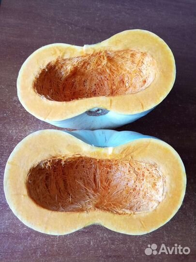 Семена вкусной тыквы Крошка