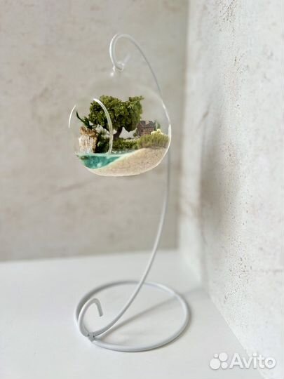 Флорариум Подвесы с моссариумами Подарок