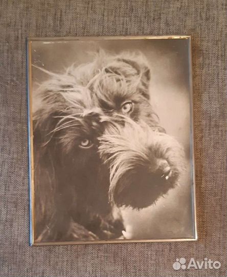 Чеканки СССР