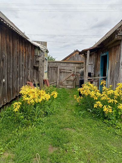 Дом 37 м² на участке 15 сот.