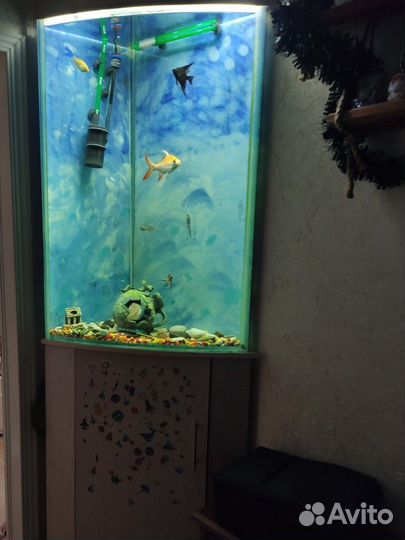 Аквариум