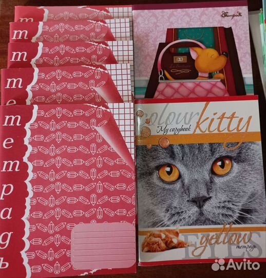 Тетради 18-96 листов