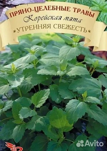 Ароматические и лекарственные растения