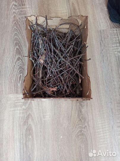 Ветки березы,листья одуванчика,кипрея, перегородки