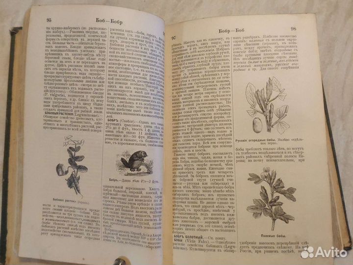 Антикварная книга: словарь общеполезных сведений 1