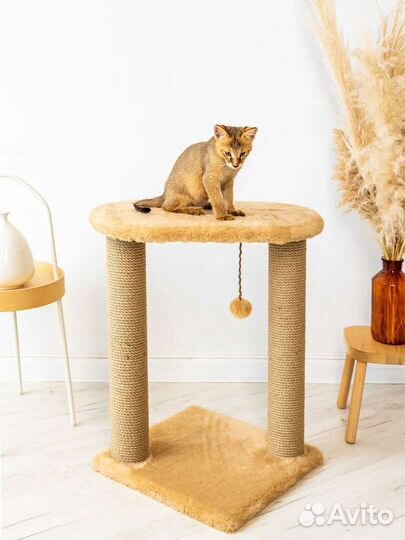 Домик когтеточка для большой кошки, кота, собачки