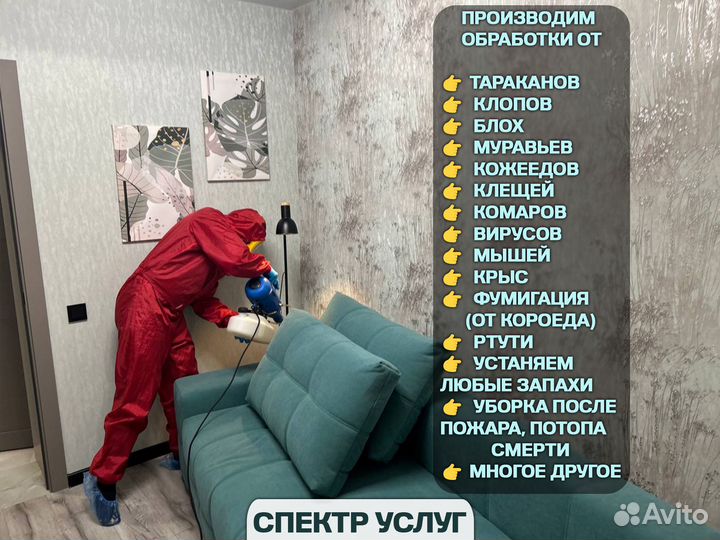 Уничтожение тараканов, клопов сэс в Стерлитамаке