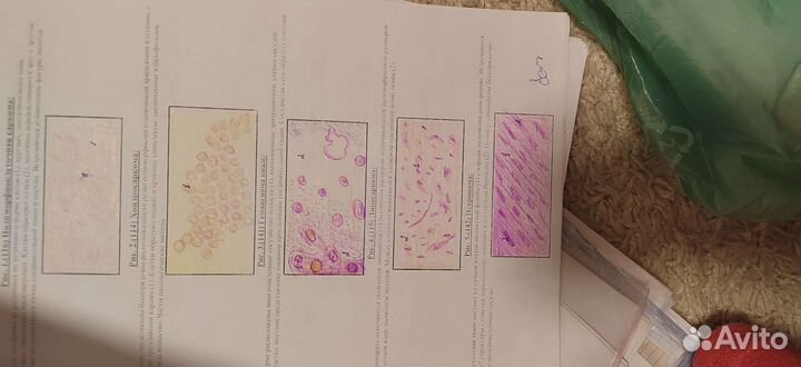 Педиатрия с 1 по 6 курс