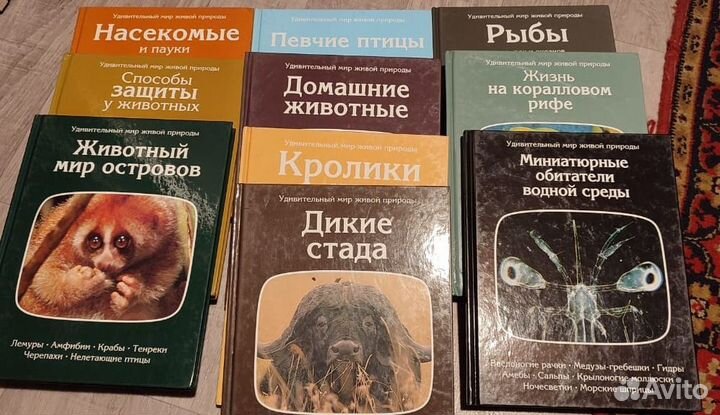 Книги