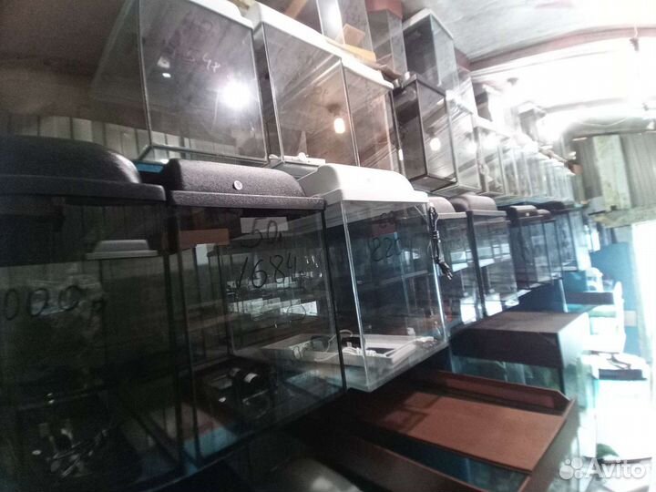 Аквариумы на заказ