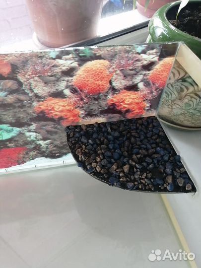 Террариум для черепахи