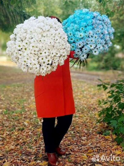 Цветы с доставкой Букет ромашек