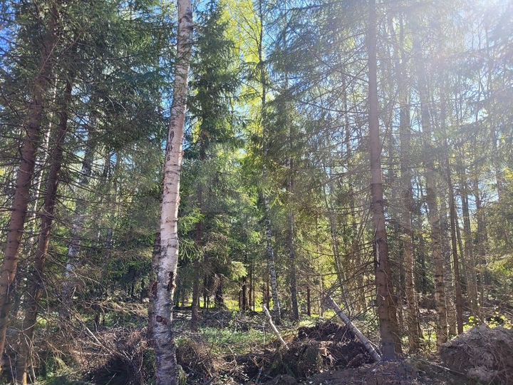 Участок 8 сот. (ИЖС)