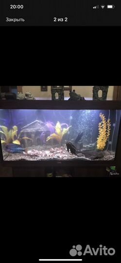 Аквариум juwel