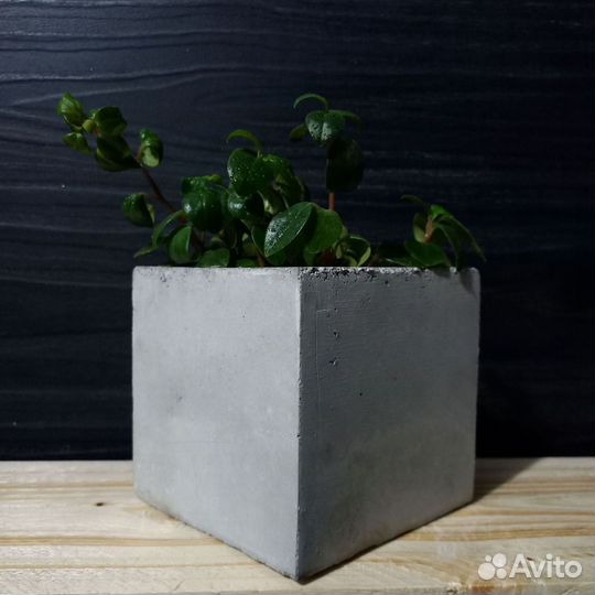 Кашпо для цветов на 1 литр, авито доставка 25