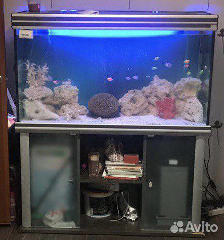 Аквариум
