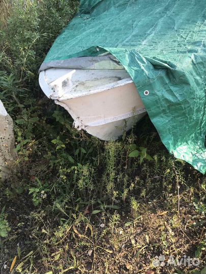 Моторная лодка