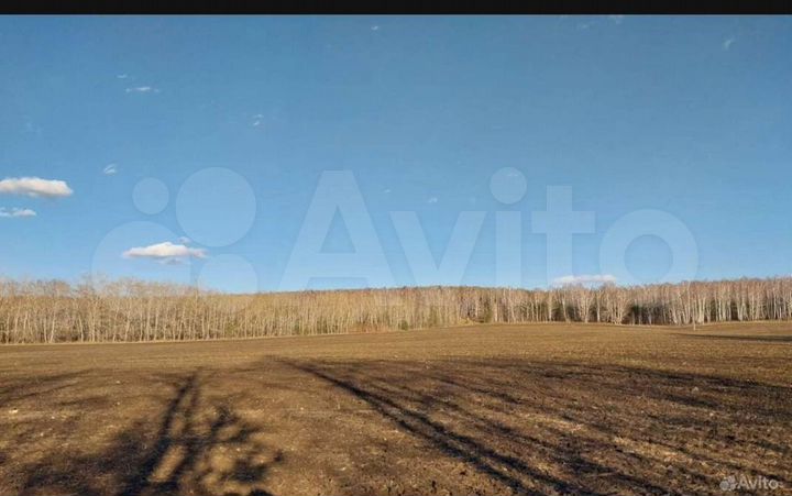 Участок 5,1 га (СНТ, ДНП)