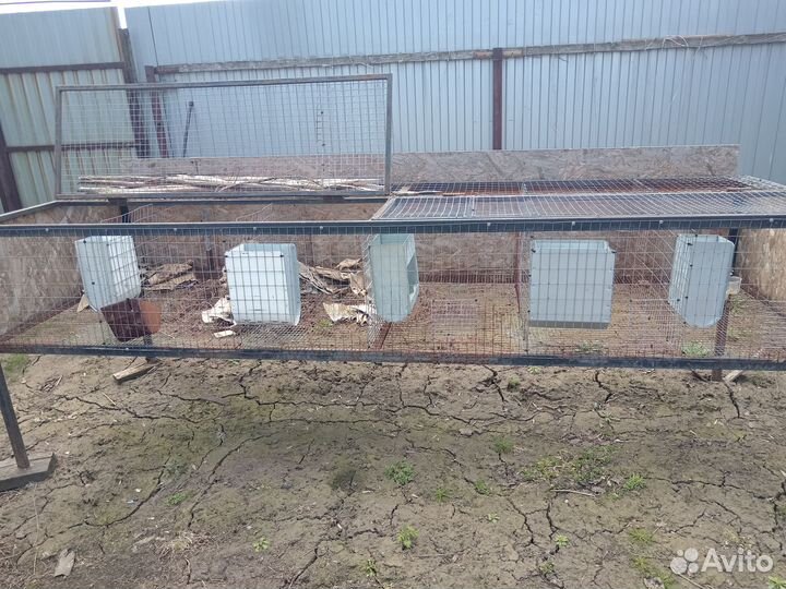 Клетка для кроликов