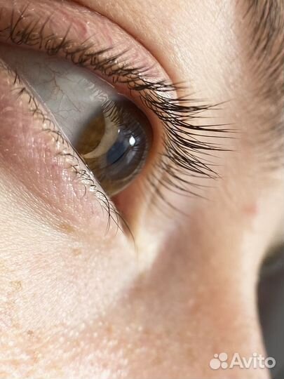 Модель на ламинирование ресниц