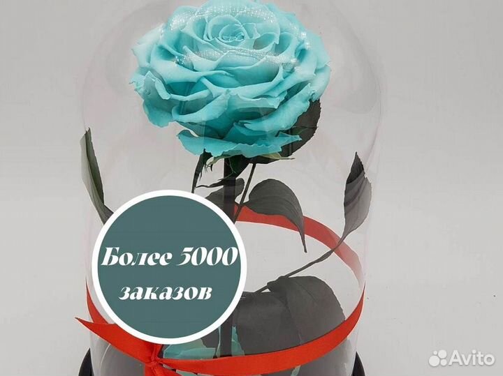 Роза в колбе. С гарантией