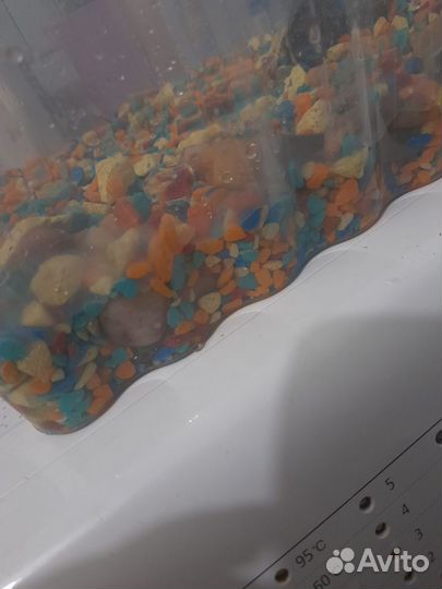 Грунт,водоросли