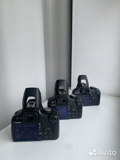 Canon 500d 550d 20mm 28mm 50 mm