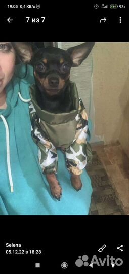 Животные вязка