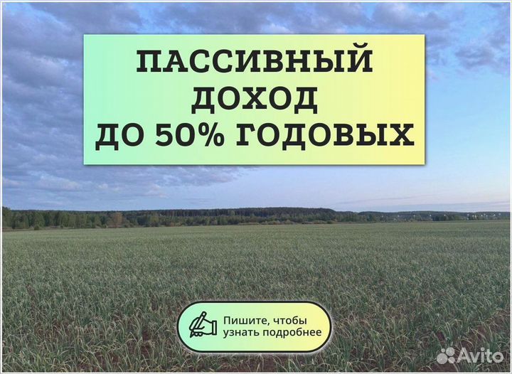 Инвестор в прибыльный бизнес