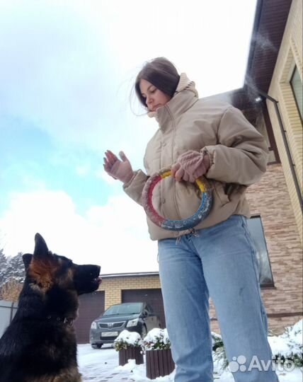 Кинолог/Дрессировка собак/Екатеринбург