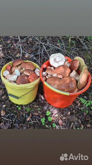 Творог домашний