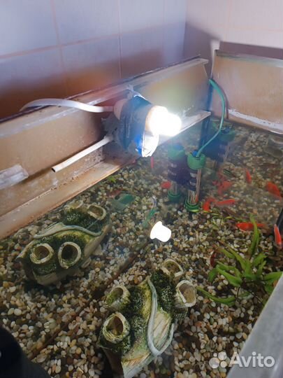 Аквариум с рыбками