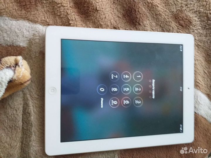 iPad