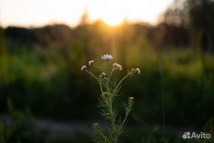 Предметная съемка / Обработка фотографий
