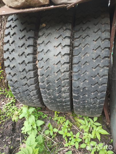 Покрышки с камерами Газ