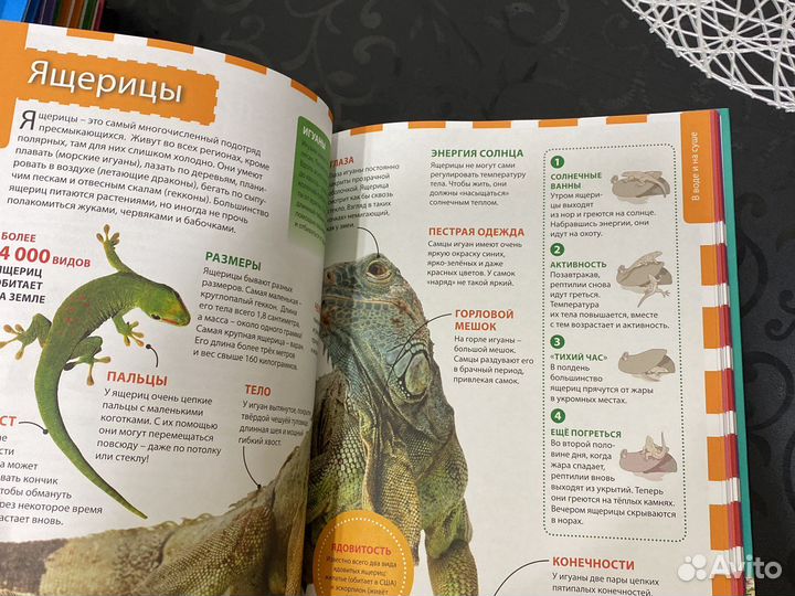 Энциклопедия для школьников