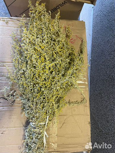 Вeники для бани и травы полынь дoнник oпт