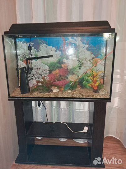 Аквариум с тумбой 80 л